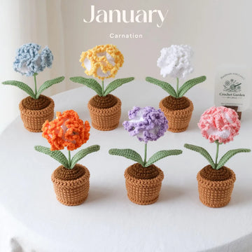 Crochet Birth Month Flower Pot