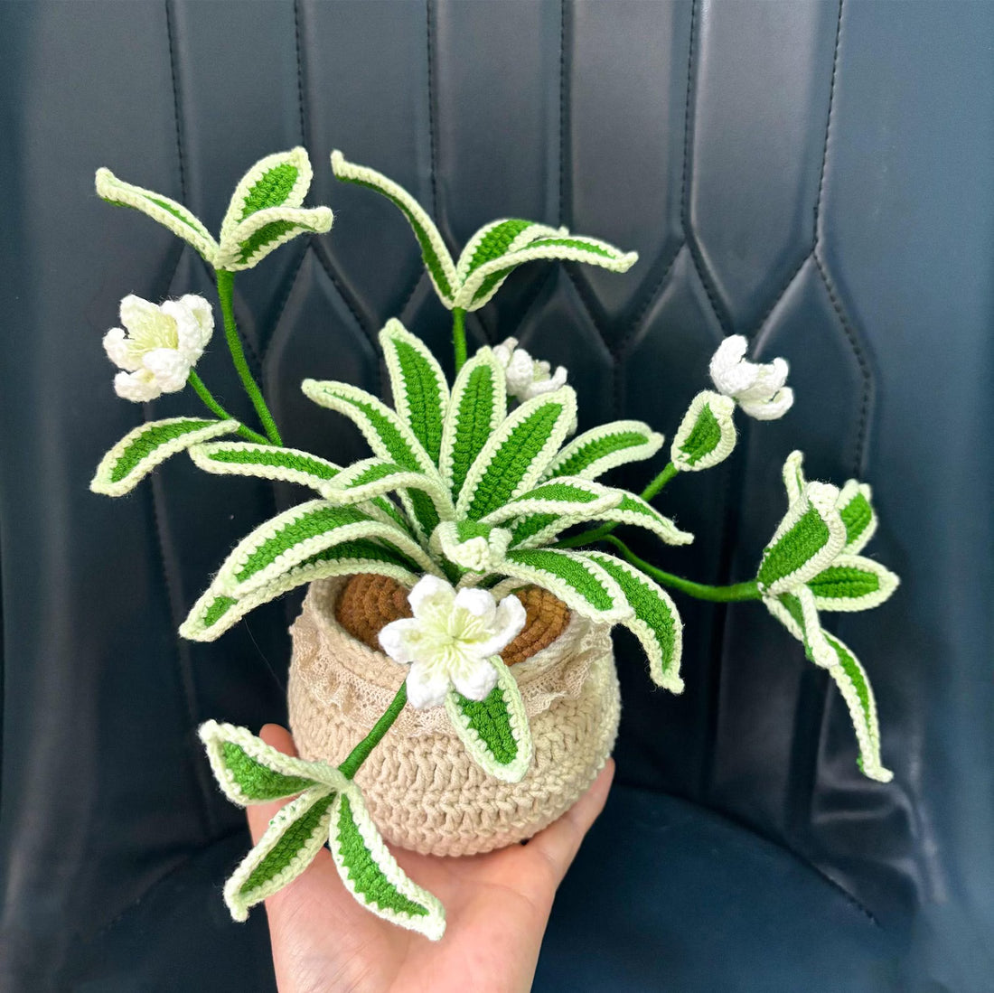 Crochet Spider Plant Desk Decor | 100% Handmade Hanging Plant