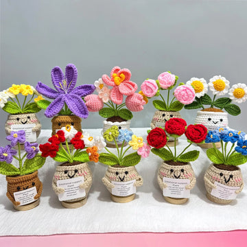 Handmade Crochet Potted Flower, Emotional Support Plant