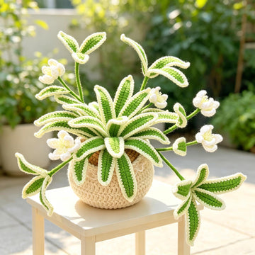 Crochet Spider Plant Desk Decor | 100% Handmade Hanging Plant
